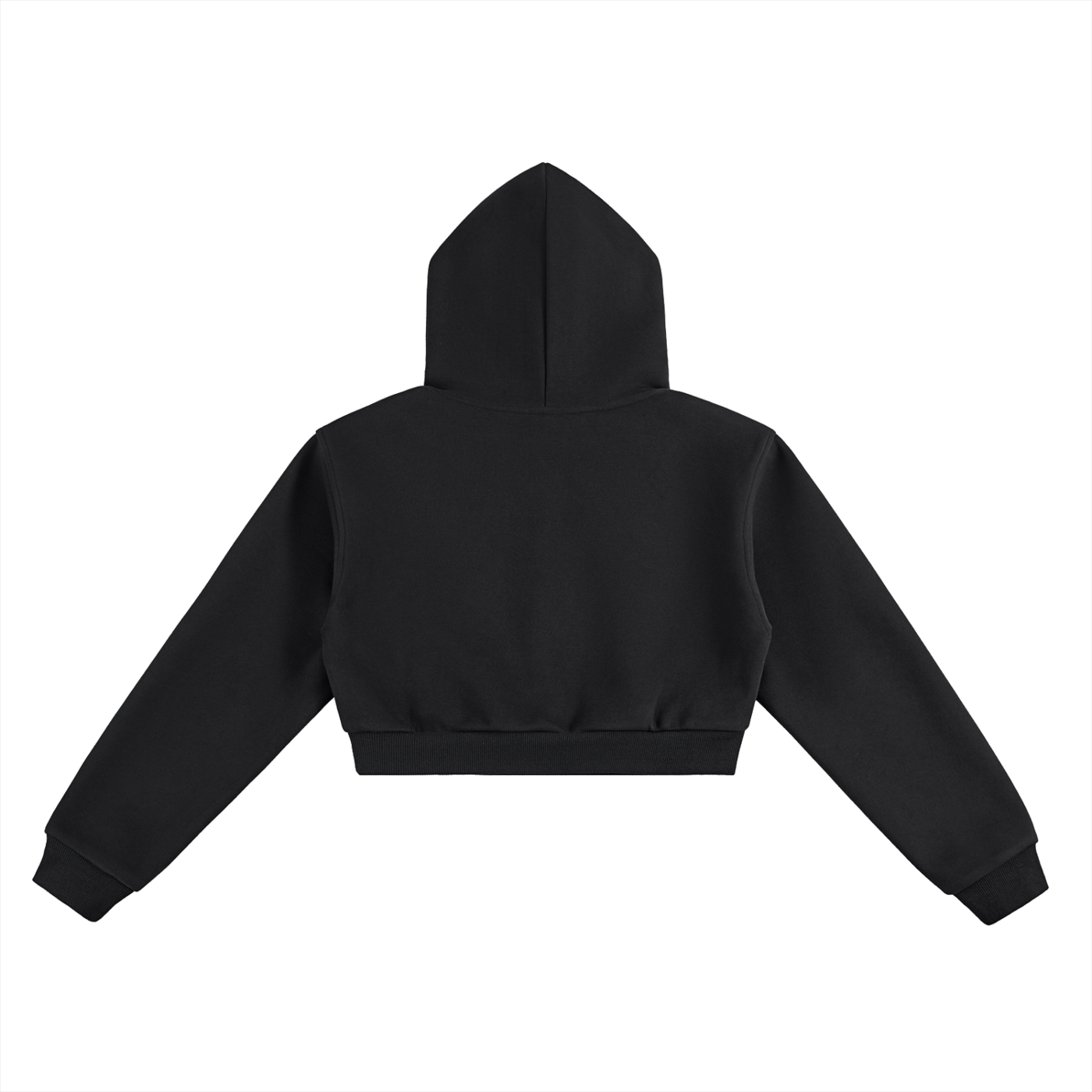 Hidden Truth Black Cropped Hoodie